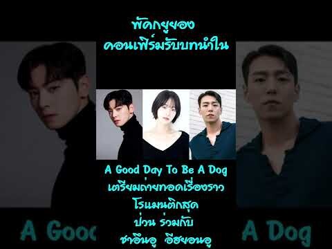 พัคกยูยอง คอนเฟิร์มรับบทนำใน A Good Day To Be A Dog