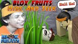 Hide And Seek In Blox Fruits | Huling Makita May Free Fruit Kay Scammer | Roblox