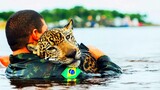The Most Beatiful Animal Rescues You'll Ever See...