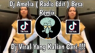 Dj amelia (radio edit) besa remix slow viral tiktok 2021 yang kalian cari !!!