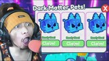 Magastos Na Dark Matter Hardcore Pet Sa Pet Simulator X | Roblox