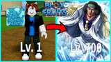 NOOB TO PRO USING REWORKED ICE FRUIT V1 IN ROBLOX BLOXFRUITS