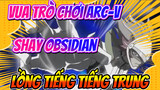 Vua Trò Chơi Arc-V
Shay Obsidian
Lồng Tiếng Tiếng Trung