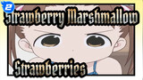Strawberry Marshmallow|OP-complete set of strawberries_2