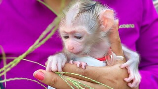 Outside Visit!! Tiny adorable Luca is so refreshing & playful when visiting outside