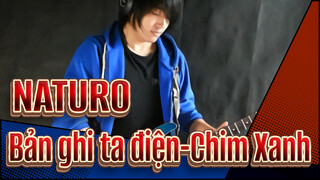 NATURO|【Bản ghi ta điện】Chim Xanh- by Vichede_A