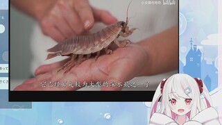 日本辣妹看小文哥吃可爱深海虫子的反应