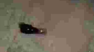 Run