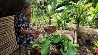 Ngày Giãn Cách Thứ 14 Rồi Mình Ăn Canh Chua Bần Chắc Ngon Lắm Em Ơi #14