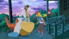 Pokemon Sun and Moon Episode 11 (Dub)