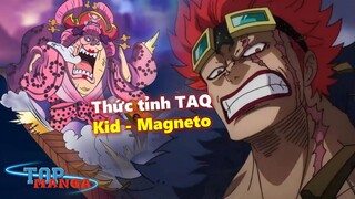 Kid thức tỉnh Trái Ác Quỷ - Magneto của One Piece hạ Bigmom?