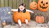 Funny Moments : Cute Baby Playing With Pumpkin on Halloween - Babies Halloween Vines