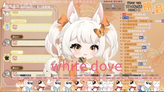 Sing softly at first, then stun everyone with the high notes - White Dove晚音-白鸽