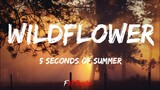 5 Seconds of Summer - Wildflower (Lyrics)
