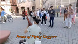 House Of Flying Daggers Pipa Cover At The German-French Border