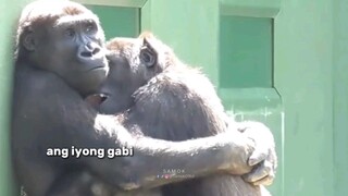 ikaw lang ang pahinga 🤗🤗