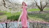 [Lezheng Ling/MMD/Fabric Solution] Peach Blossom Cheongsam