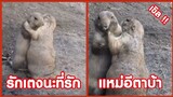 รักนะที่รัก แหม่อีต้าบ้าอายเค้า !! ( รวมฮาพากย์ไทย )