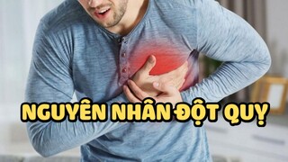 Nguyên nhân dẫn đến đột quỵ | Bạn có biết?