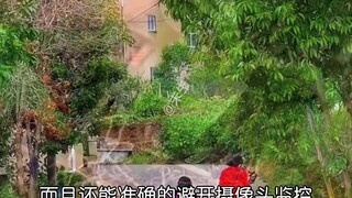 《多年铃兰毁于一旦》十年铃兰无人问，一朝被烧天下知。老祖宗说事以密成，语以泄败，果然是有道理的。#万万没想到 #粉色铃兰 #社会百态 #感情共鸣