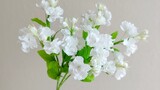 Crepe Paper Flower DIY Jasmine