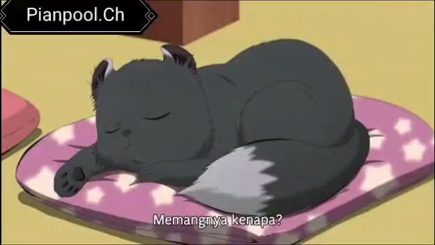 (Keimutan hewan) Kawaisugi Episode 3 subtitle Indonesia