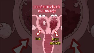 Tại sao khi có thai vẫn có kinh nguyệt? #shorts #trithucplus #trithuc