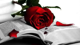 Hinder - Bed of Roses