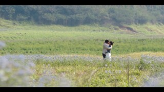 Hi Venus (2022) บังเอิญพบรัก EP 12 [ซับไทย]