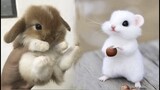AWW SO CUTE! Cutest baby animals Videos Compilation Cute moment of the Animals - Cutest Animals #59