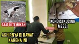 kucing lumpuh luka parah dan di paksakan Jalan Untuk Mencari Makan Part 2 Akhirnya Sampai Ke Dokter.