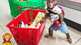 小猴逛超市，开心到不行！
