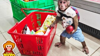 Little Monkey Went Shopping Happily