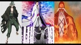 Top 10 Strongest Captains in Bleach and their Bankai (Zanpakuto)