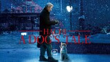 HACHI: A DOG'S TALE (2009) ฮาชิ...หัวใจพูดได้