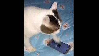 MeMe mà bạn có thể sẽ ko tưởng tượng ra 12