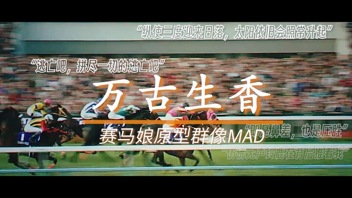 《万古生香》赛马娘原型群像MAD