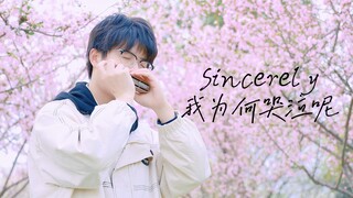 泪目预警！口琴催泪演奏Sincerely 紫罗兰永恒花园