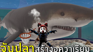 จับปลาสร้างอควาเรียม Roblox