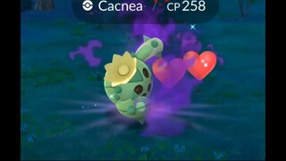 Pokémon GO-Shadow Cacnea