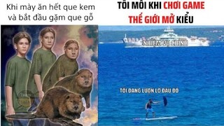 ảnh chế meme thiếu muối #35 || NTM AC