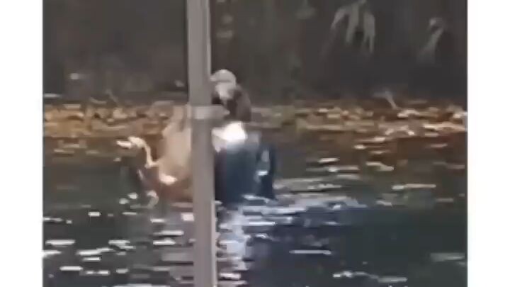 Ga Tau Mau Kasih Judul Apa