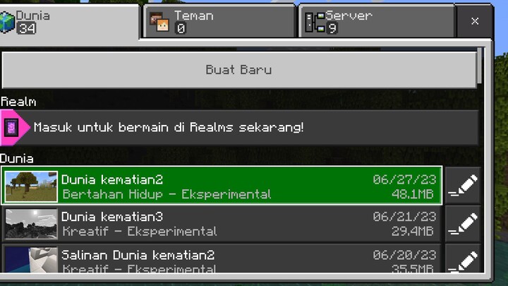 aku dan adikku main Minecraft