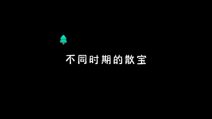 回顾一下散宝的不同阶段