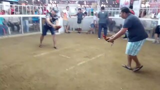 win Ormoc,JBC red lemon Eagle GF Vs. R.A.S Game farm