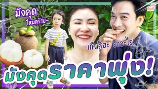 มังคุดราคาพุ่ง! เก็บสิฮะรออะไร I คริตอินสวน