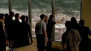 When Locusts Start Attack People, They Assume That This Thick Glass Will Protect Them