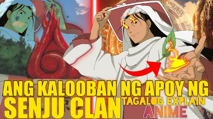 Ang Kalooban ng Apoy ng Senju Clan, tagalog explain #shikamaru #naruto #facts&theory