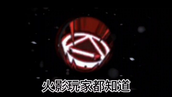 玫瑰花很美很浪漫，但它终究是带刺的！