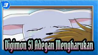 Adegan Mengharukan, Penuh dengan Memori | Digimon S1_3